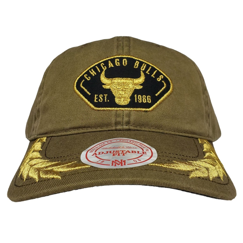Chicago Bulls Mitchell & Ness NBA Dad Hat Cap 3D Logo Ivy Embroidery Bill NWT